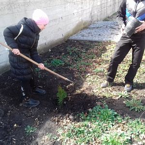 Хочеш здобути мир – оберігай створіння!