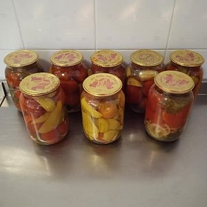 Парафіяльний карітас