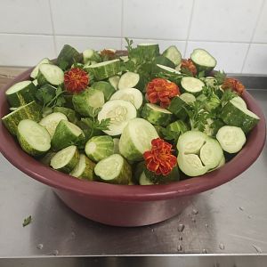 Парафіяльний Карітас (липень)!
