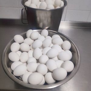 Парафіяльний Карітас