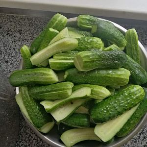 Парафіяльний Карітас (липень)!