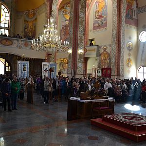 Блаженного Миколая Чарнецького проголосили покровителем Коломийської єпархії