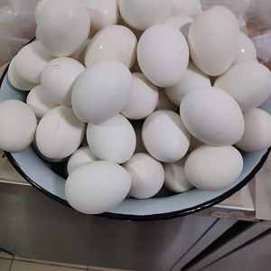 Парафіяльний Карітас (квітень)