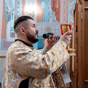 В'їзд Господній в Єрусалим!
