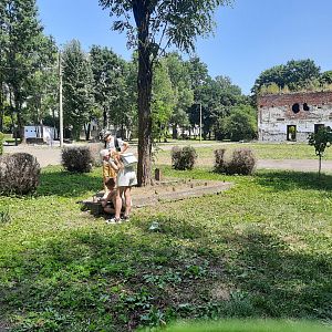 Табір. П'ятий день! Завершення!