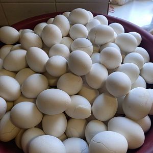 Парафіяльний Карітас (жовтень)!