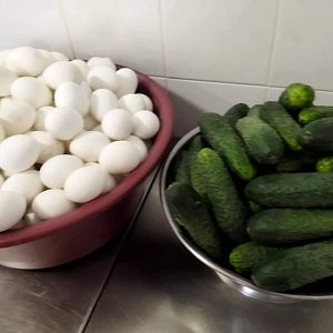 Парафіяльний Карітас (червень)