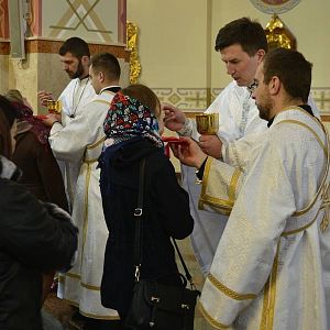 Вербна неділя у Катедральному соборі м. Коломиї