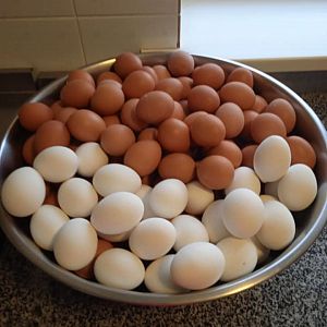 Парафіяльний карітас