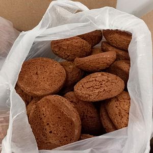 Парафіяльний Карітас (вересень)