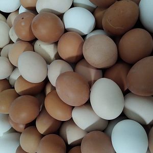 Парафіяльний Карітас (грудень/ весь рік)