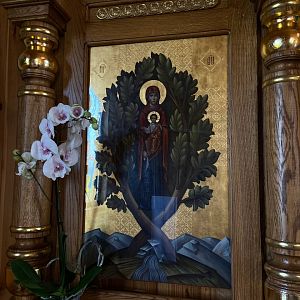 Паломницька поїздка студентів!