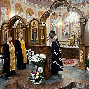 Візитація!