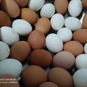Парафіяльний Карітас (червень)