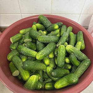 Парафіяльний Карітас (серпень)!