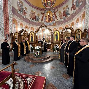 Візитація!