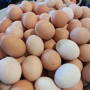 Парафіяльний Карітас (червень)!