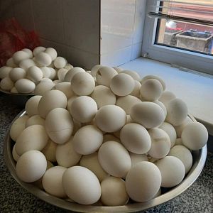 Парафіяльний Карітас (червень)