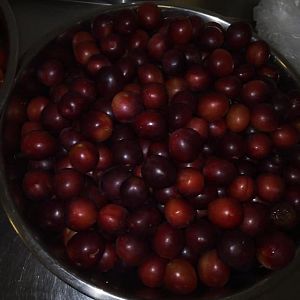 Парафіяльний карітас