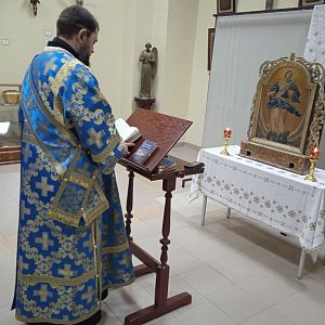 Зустріч у музеї!