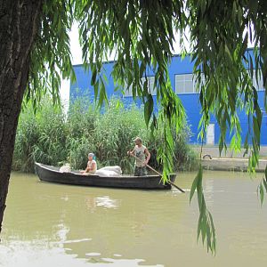 Поїздка в Приморське