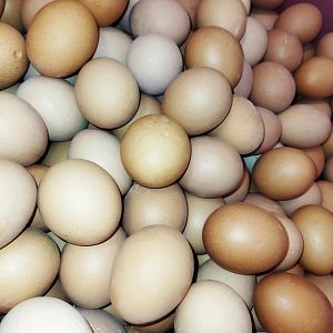 Парафіяльний Карітас (липень)!