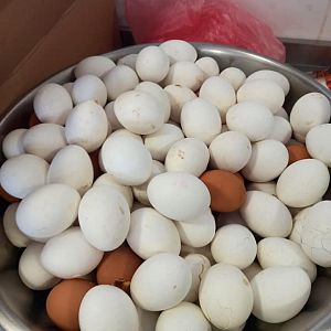 Парафіяльний карітас