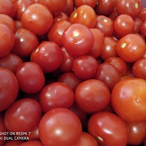 Парафіяльний Карітас (червень)
