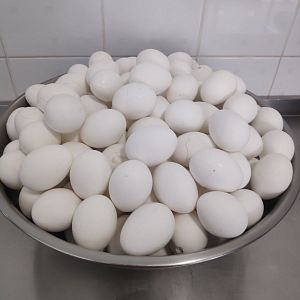 Парафіяльний Карітас (жовтень)!
