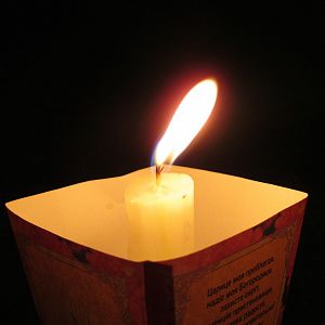 Зарваниця 2011
