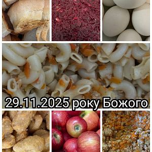 Парафіяльний Карітас (листопад)!